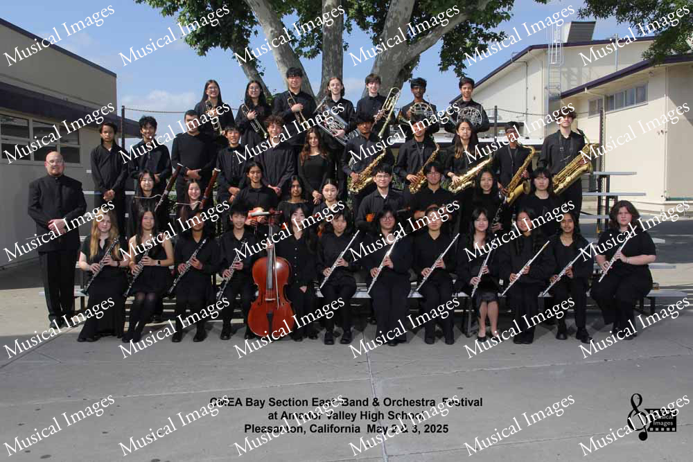 Musical Images